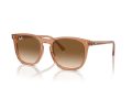 Ray-Ban Gafas de Sol RB 2210 676451