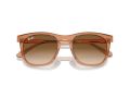 Ray-Ban Gafas de Sol RB 2210 676451