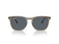 Ray-Ban Gafas de Sol RB 2210 6765R5