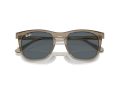 Ray-Ban Gafas de Sol RB 2210 6765R5