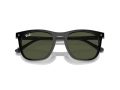 Ray-Ban Gafas de Sol RB 2210 901/31