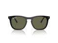 Ray-Ban Gafas de Sol RB 2210 901/58