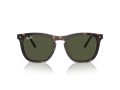 Ray-Ban Gafas de Sol RB 2210 902/31