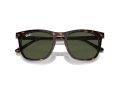 Ray-Ban Gafas de Sol RB 2210 902/31