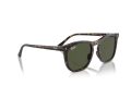 Ray-Ban Gafas de Sol RB 2210 902/31