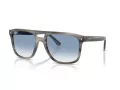 Ray-Ban Gafas de Sol RB 2213 14243F_55