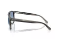 Ray-Ban Gafas de Sol RB 2213 14243F_55