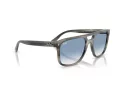 Ray-Ban Gafas de Sol RB 2213 14243F_55