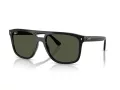 Ray-Ban Gafas de Sol RB 2213 901/31_58