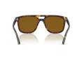 Ray-Ban Gafas de Sol RB 2213 902/33_55