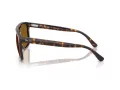 Ray-Ban Gafas de Sol RB 2213 902/33_58