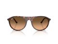 Ray-Ban Gafas de Sol RB 2215 14293B_59