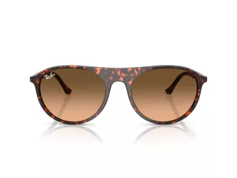 Ray-Ban Gafas de Sol RB 2215 14293B