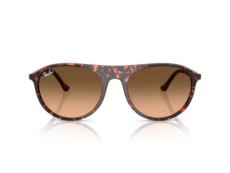 Ray-Ban Gafas de Sol RB 2215 14293B
