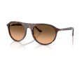 Ray-Ban Gafas de Sol RB 2215 14293B_59