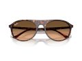 Ray-Ban Gafas de Sol RB 2215 14293B_59