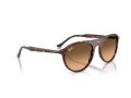 Ray-Ban Gafas de Sol RB 2215 14293B_59