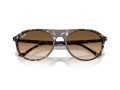 Ray-Ban Gafas de Sol RB 2215 143151