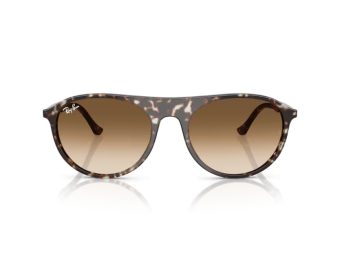 Ray-Ban Gafas de Sol RB 2215 143151