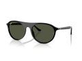 Ray-Ban Gafas de Sol RB 2215 901/31_59