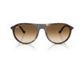 Ray-Ban Gafas de Sol RB 2215 902/51_59