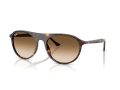Ray-Ban Gafas de Sol RB 2215 902/51_59