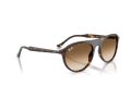 Ray-Ban Gafas de Sol RB 2215 902/51_59