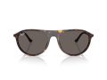 Ray-Ban Gafas de Sol RB 2215 902/B1_56