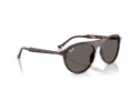 Ray-Ban Gafas de Sol RB 2215 902/B1_56