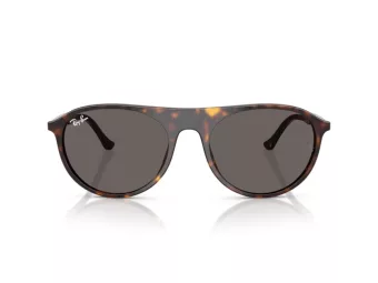 Ray-Ban Gafas de Sol RB 2215 902/B1_59