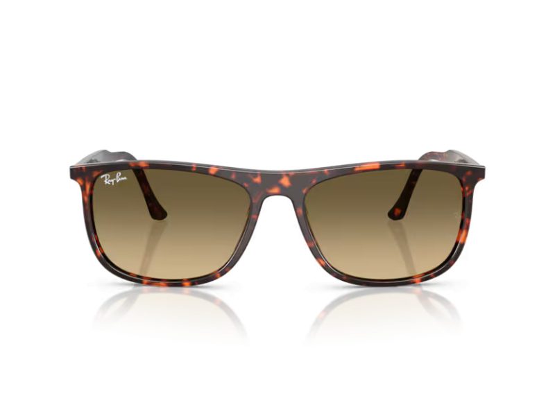 Ray-Ban Gafas de Sol RB 2216 14290A