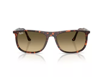 Ray-Ban Gafas de Sol RB 2216 14290A