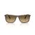 Ray-Ban Gafas de Sol RB 2216 14290A_61