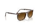 Ray-Ban Gafas de Sol RB 2216 143185_58