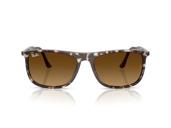Ray-Ban Gafas de Sol RB 2216 143185_61
