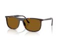 Ray-Ban Gafas de Sol RB 2216 902/33_58