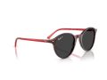 Ray-Ban Bernard Gafas de Sol RB 2230 141948
