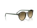Ray-Ban Bernard Gafas de Sol RB 2230 14210A_51
