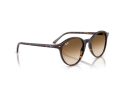 Ray-Ban Bernard Gafas de Sol RB 2230 902/51