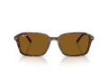 Ray-Ban Raimond Gafas de Sol RB 2231 141833_58