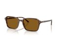 Ray-Ban Raimond Gafas de Sol RB 2231 141833_58