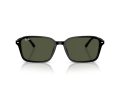 Ray-Ban Raimond Gafas de Sol RB 2231 901/31_56