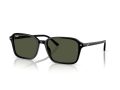 Ray-Ban Raimond Gafas de Sol RB 2231 901/31_56