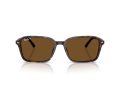 Ray-Ban Raimond Gafas de Sol RB 2231 902/57_56