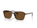 Ray-Ban Raimond Gafas de Sol RB 2231 902/57_56