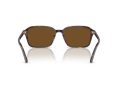 Ray-Ban Raimond Gafas de Sol RB 2231 902/57_56