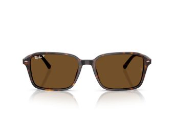 Ray-Ban Raimond Gafas de Sol RB 2231 902/57_58