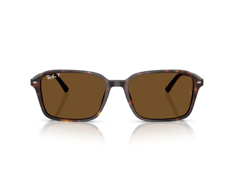 Ray-Ban Raimond Gafas de Sol RB 2231 902/57