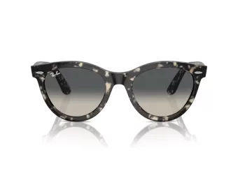 Ray-Ban Wayfarer Way Gafas de Sol RB 2241 133371