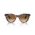 Ray-Ban Wayfarer Way Gafas de Sol RB 2241 133451_51